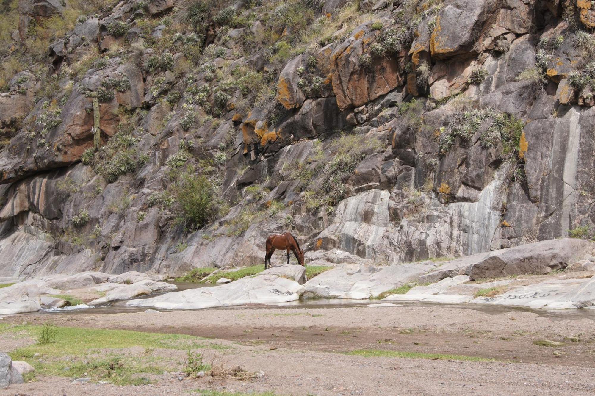 Altos Del Valle San Agustín de Valle Fértil Extérieur photo